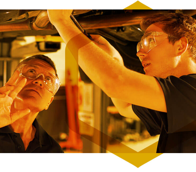 Medallion Plus Header Image