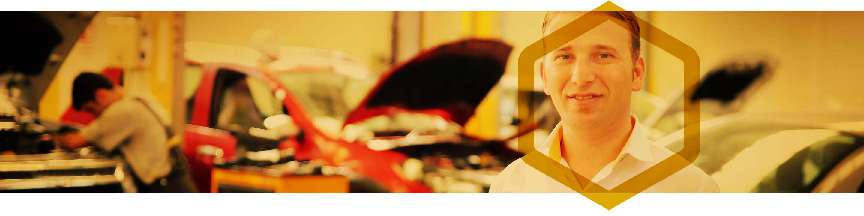 Installer Support Program Installer Header Image