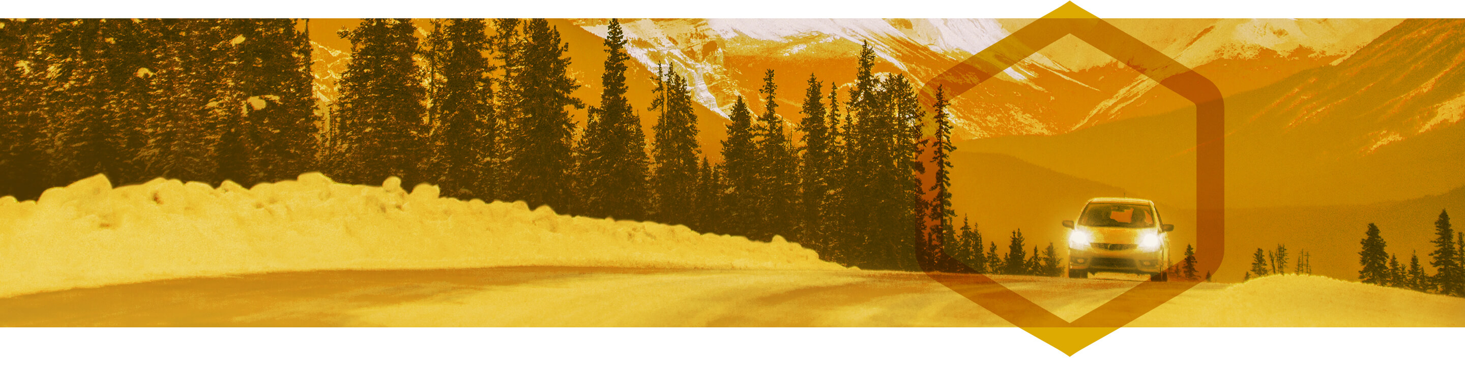 Antifreeze & Coolants Product Header Image